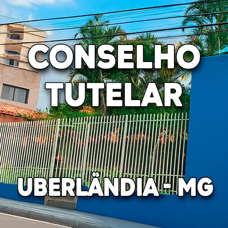 Conselho Tutelar